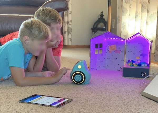 Embodied AI in the Wild